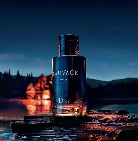 Sauvage Eau De Parfum Pour Homme 100ml 